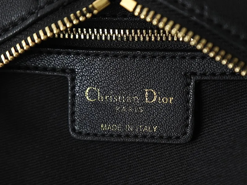 All Categories Official Website "Brand Women's Bags" Women's Bags 💙 DIOR 2026 New DIOR Armpit Crossbody Bag