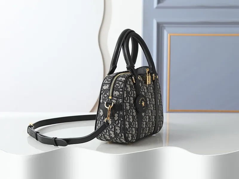 All Categories Official Website "Brand Women's Bags" Women's Bags 💙 DIOR 2026 New DIOR Crossbody Bag