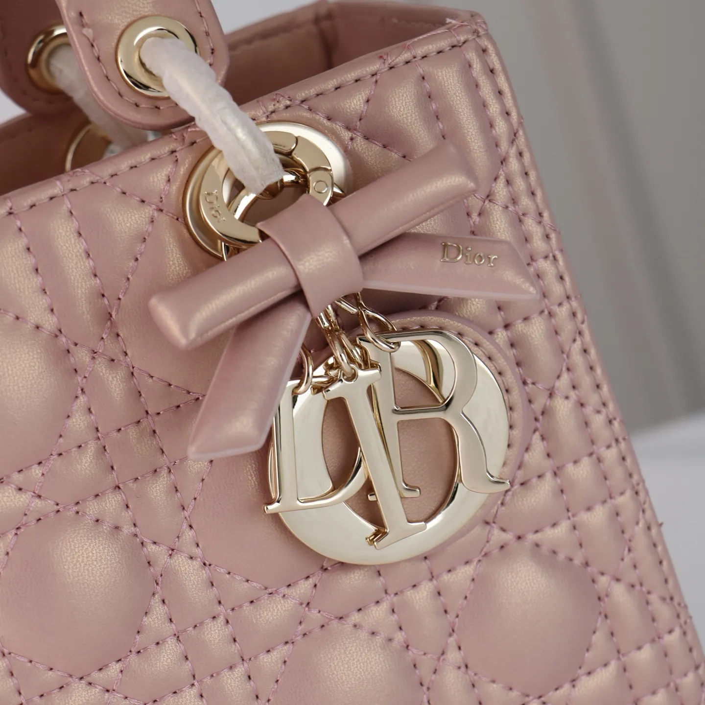 All Categories Official Website "Brand Women's Bags" Women's Bags 💙 DIOR 2026 New DIOR Crossbody Bag