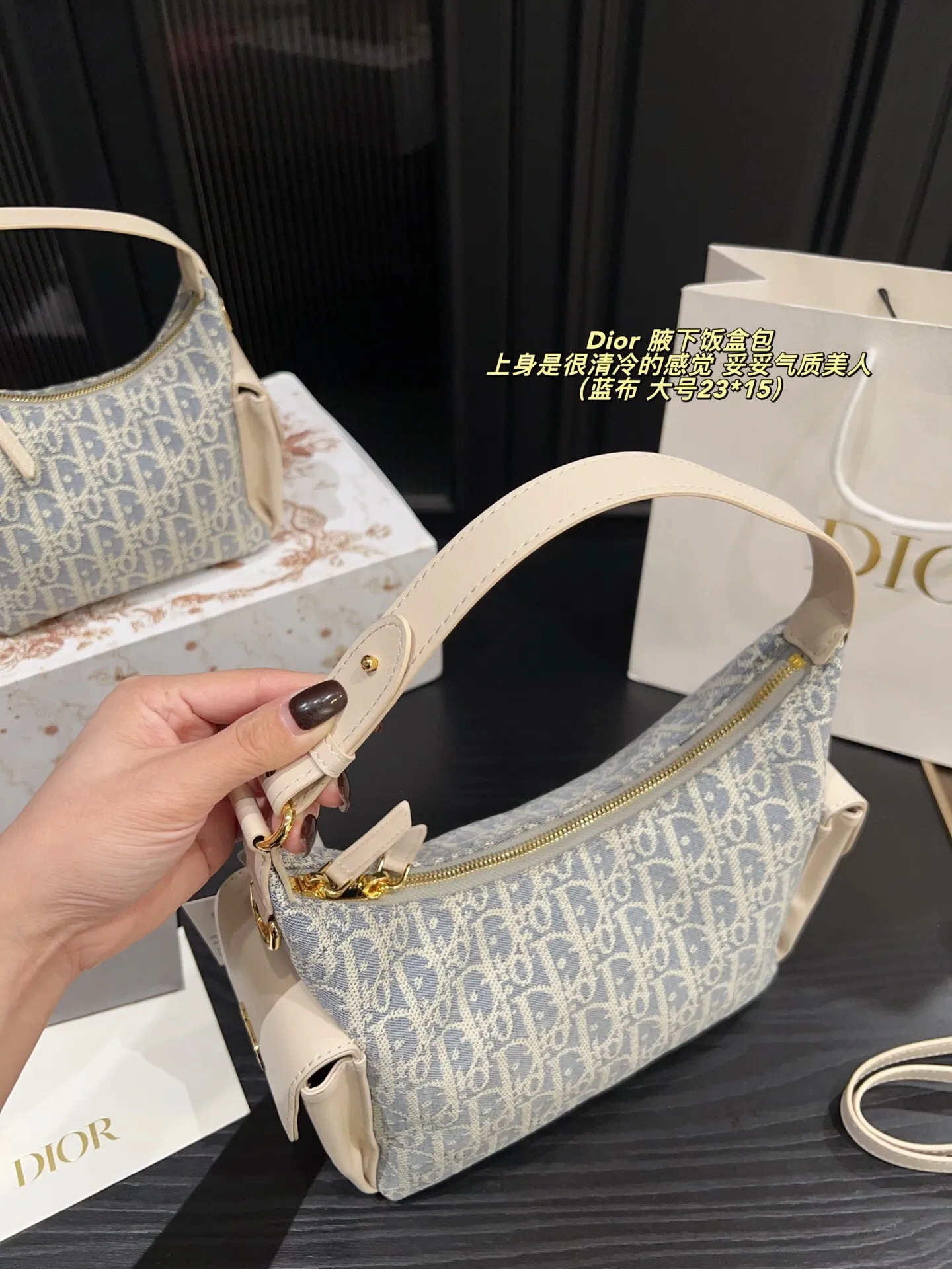All categories Official website "Brand Women's Bags" Women's Bags 💙 DIOR 2025 new DIOR armpit bag