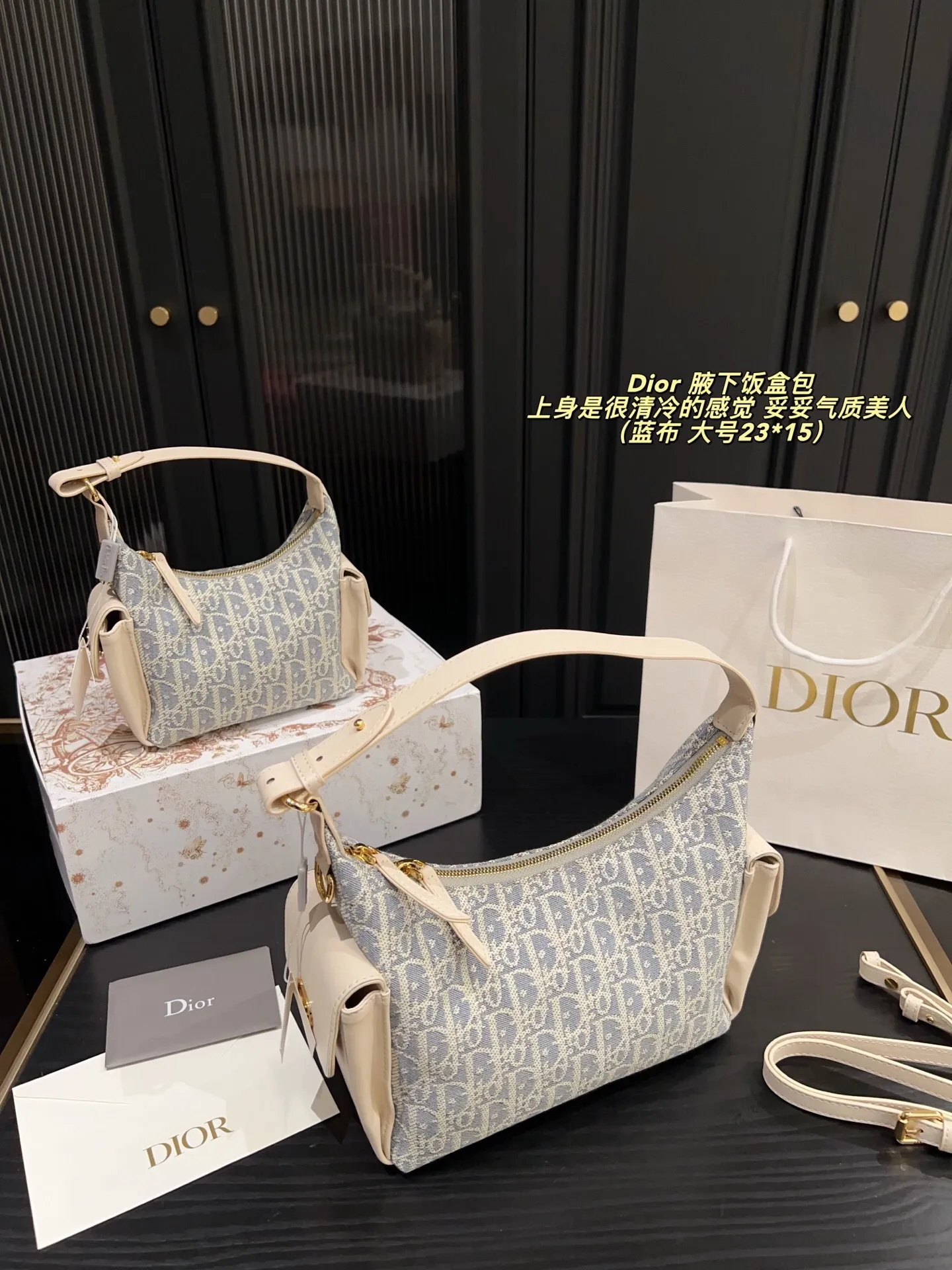 All categories Official website "Brand Women's Bags" Women's Bags 💙 DIOR 2025 new DIOR armpit bag