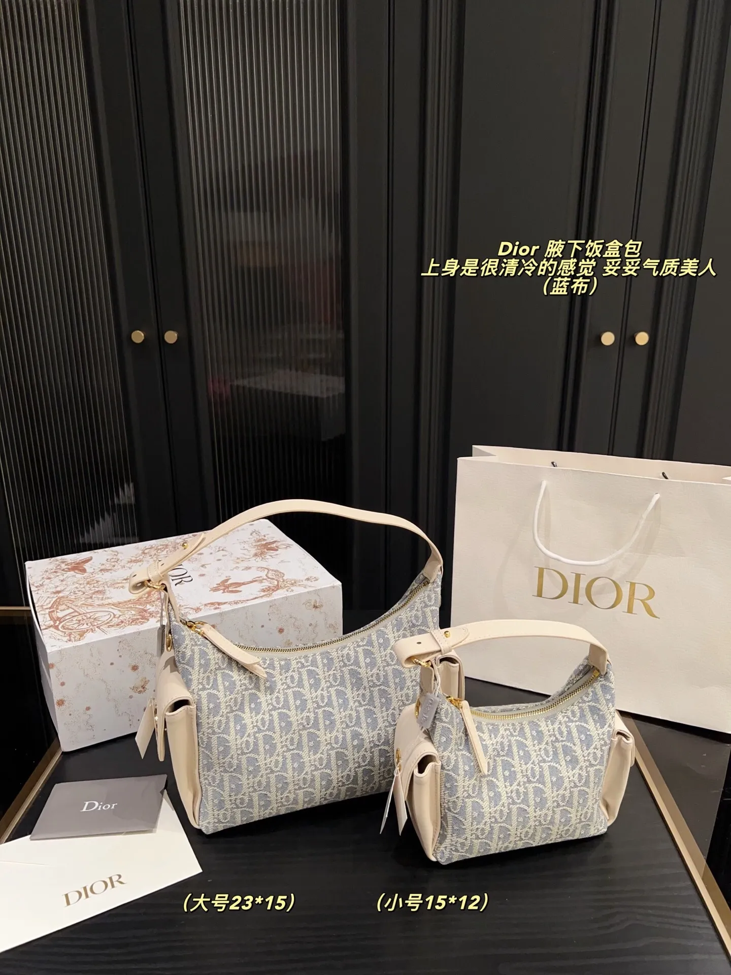 All categories Official website "Brand Women's Bags" Women's Bags 💙 DIOR 2025 new DIOR armpit bag