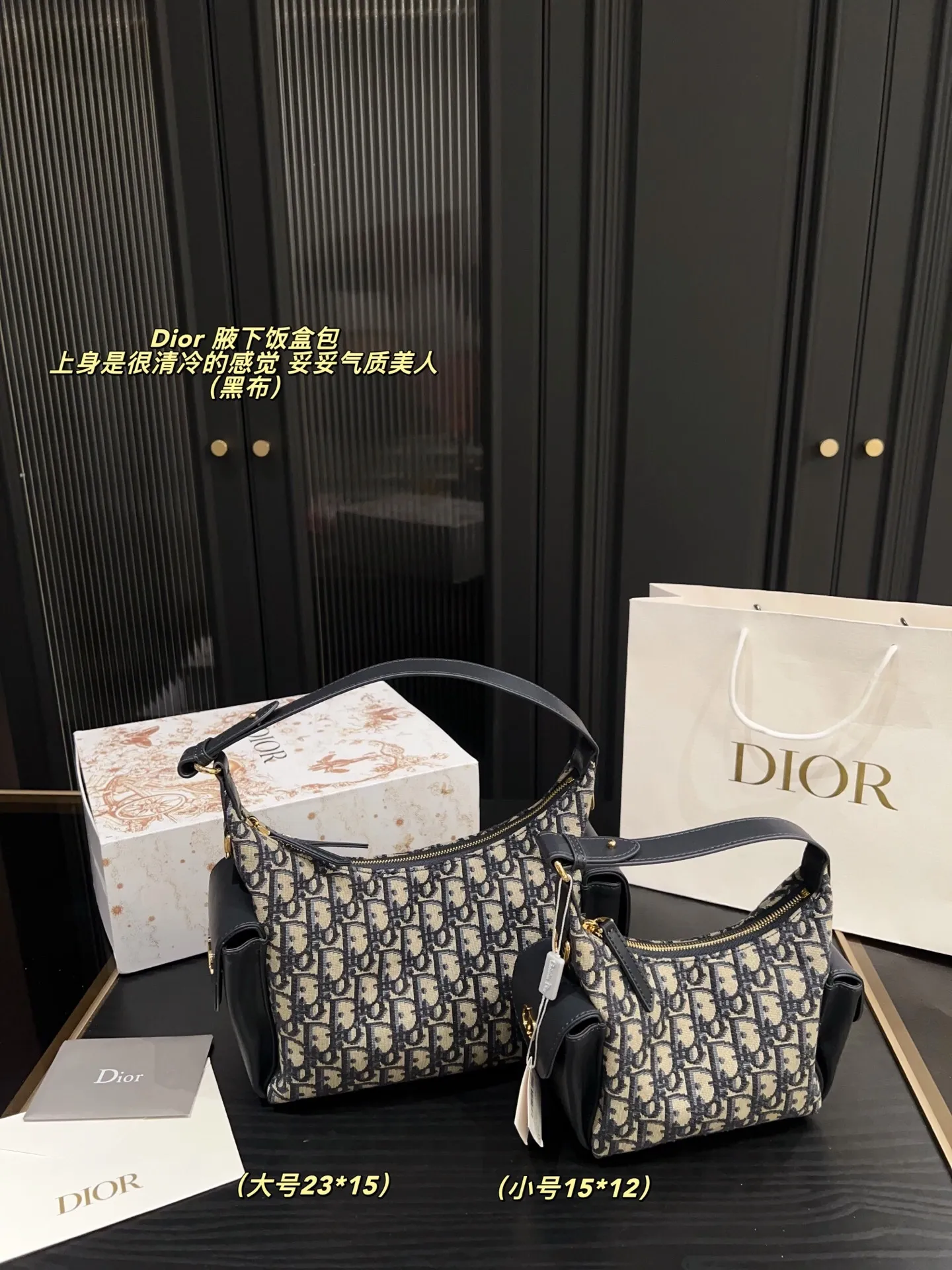 All categories Official website "Brand Women's Bags" Women's Bags 💙 DIOR 2025 new DIOR armpit bag