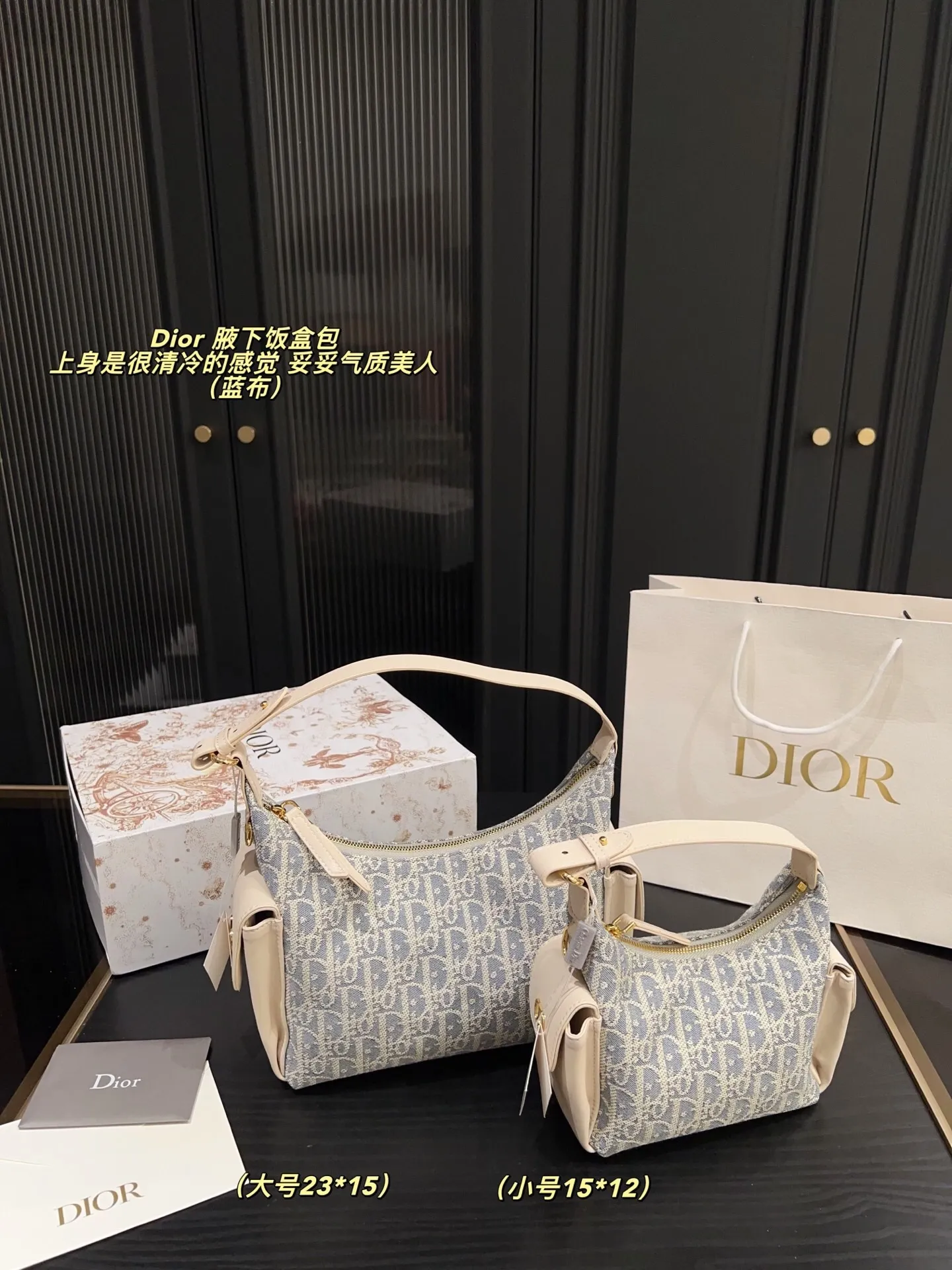 All categories Official website "Brand Women's Bags" Women's Bags 💙 DIOR 2025 new DIOR armpit bag