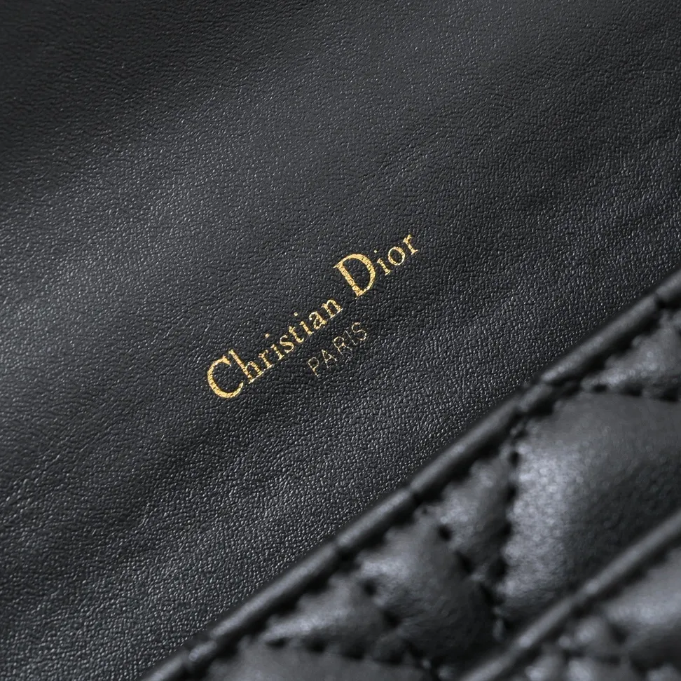 All Categories Official Website "Brand Women's Bags" Women's Bags 💙 DIOR 2025 New DIOR Crossbody Bag