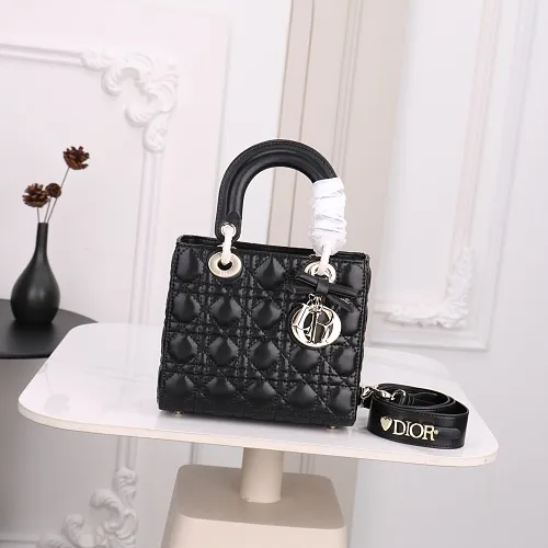 All Categories Official Website "Brand Women's Bags" Women's Bags 💙 DIOR 2026 New DIOR Crossbody Bag