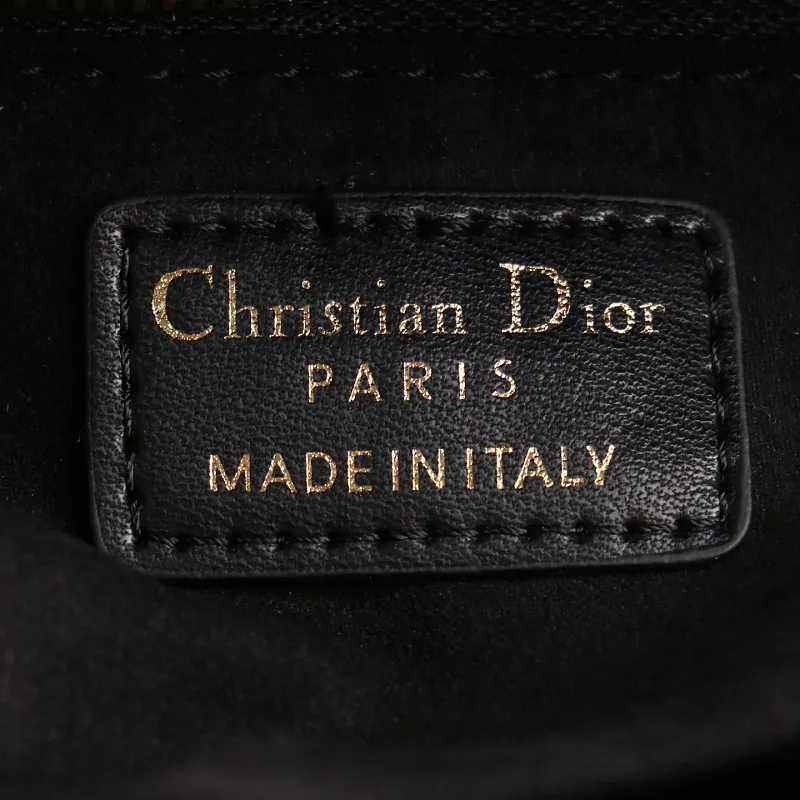 All Categories Official Website "Brand Women's Bags" Women's Bags 💙 DIOR 2026 New DIOR Crossbody Bag
