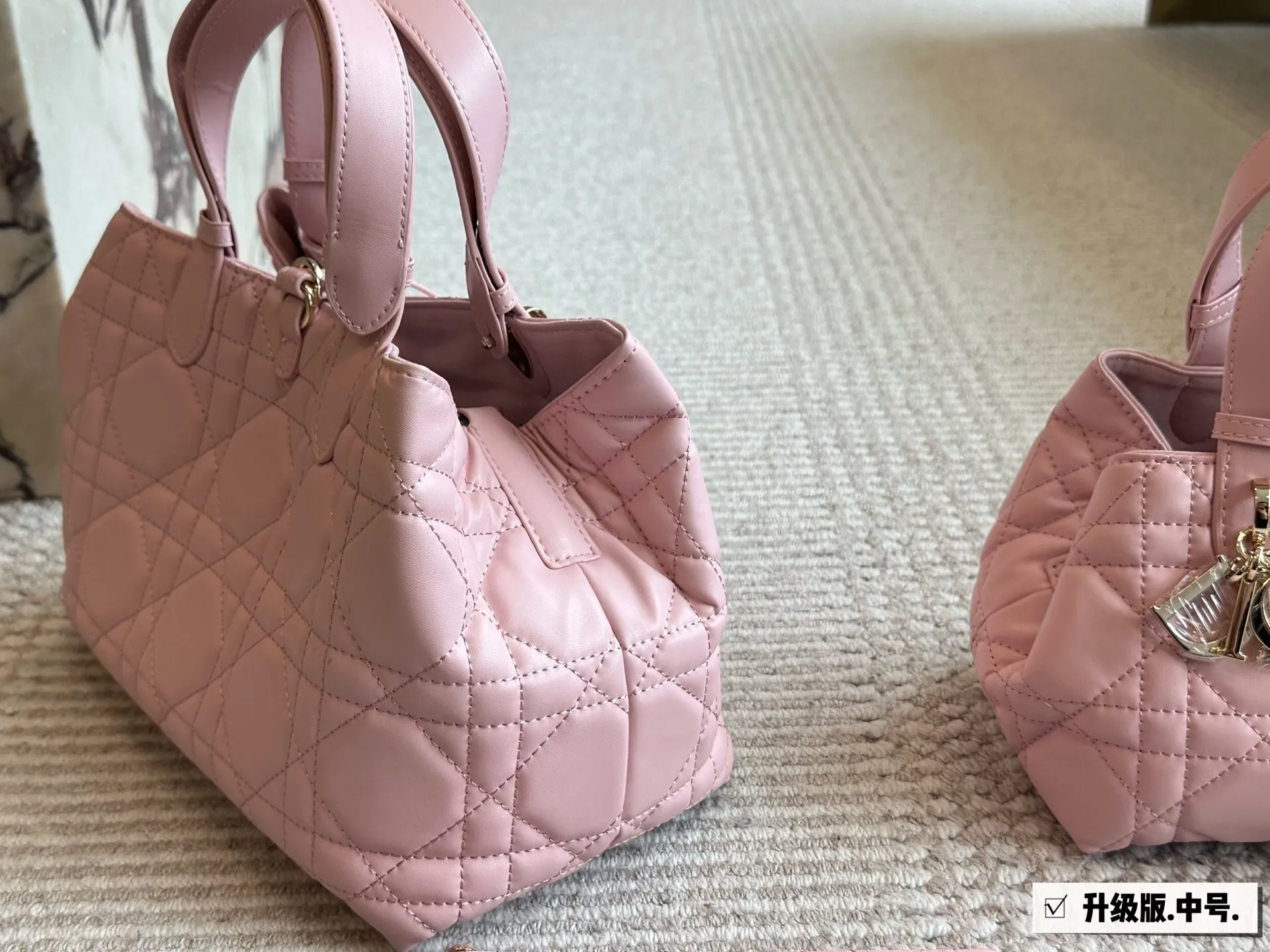 All Categories Official Website "Brand Women's Bags" Women's Bags 💙 DIOR 2025 New DIOR Handbags