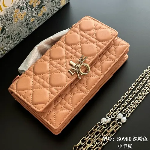 All Categories Official Website "Brand Women's Bags" Women's Bags 💙 DIOR 2026 New DIOR Crossbody Bag