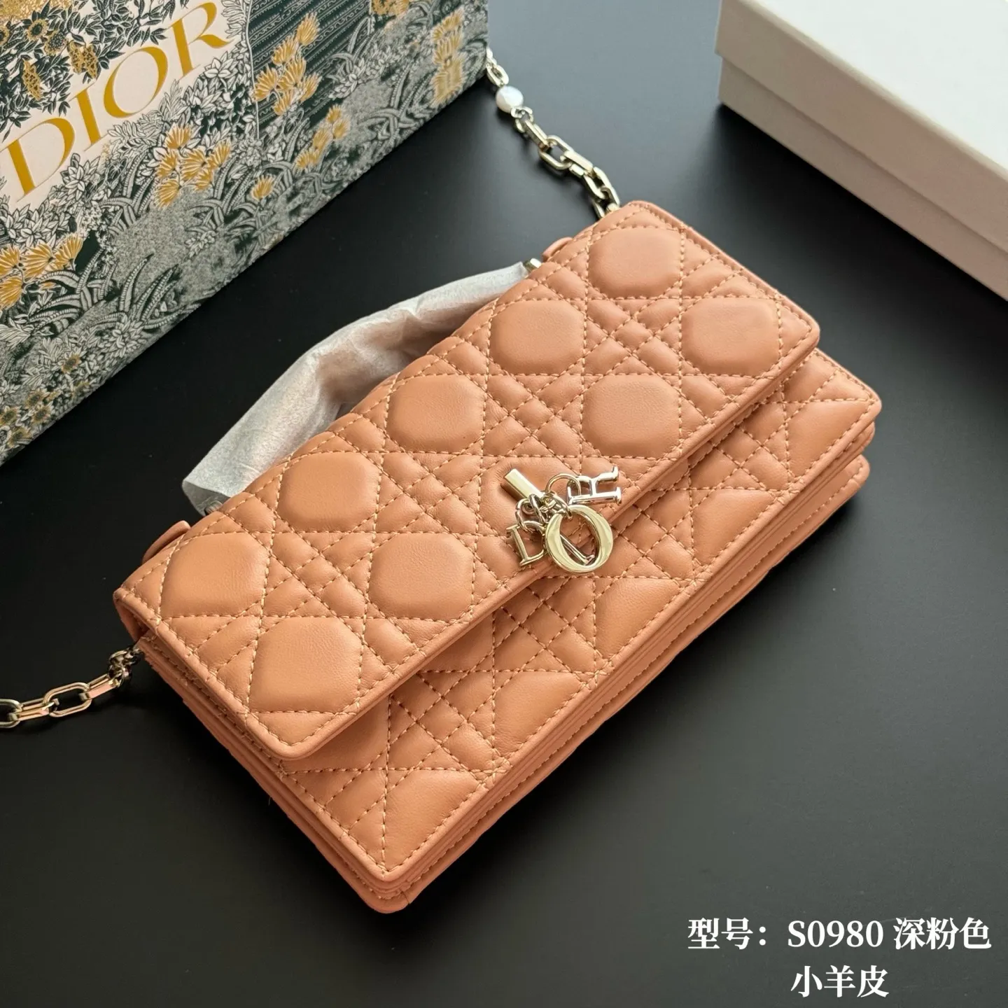 All Categories Official Website "Brand Women's Bags" Women's Bags 💙 DIOR 2026 New DIOR Crossbody Bag