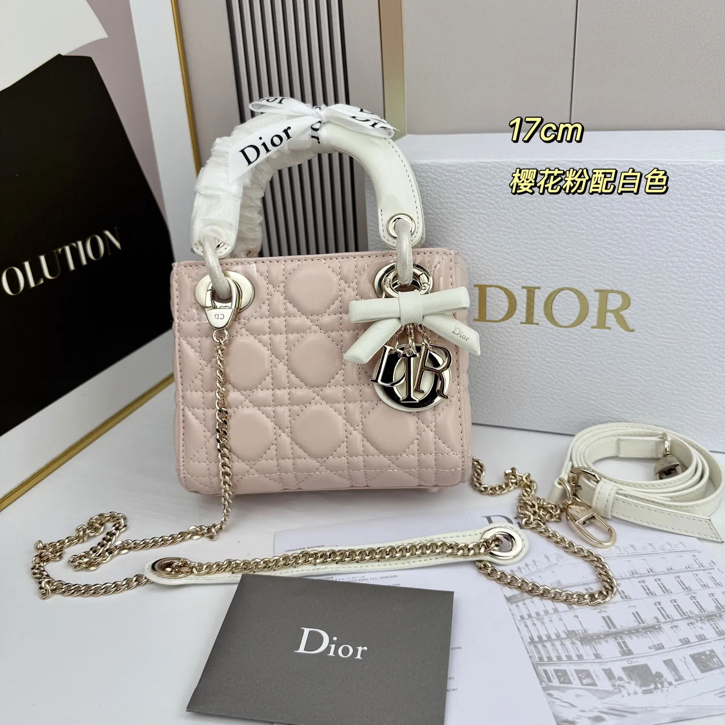 All Categories Official Website "Brand Women's Bags" Women's Bags 💙 DIOR 2026 New DIOR Crossbody Bag