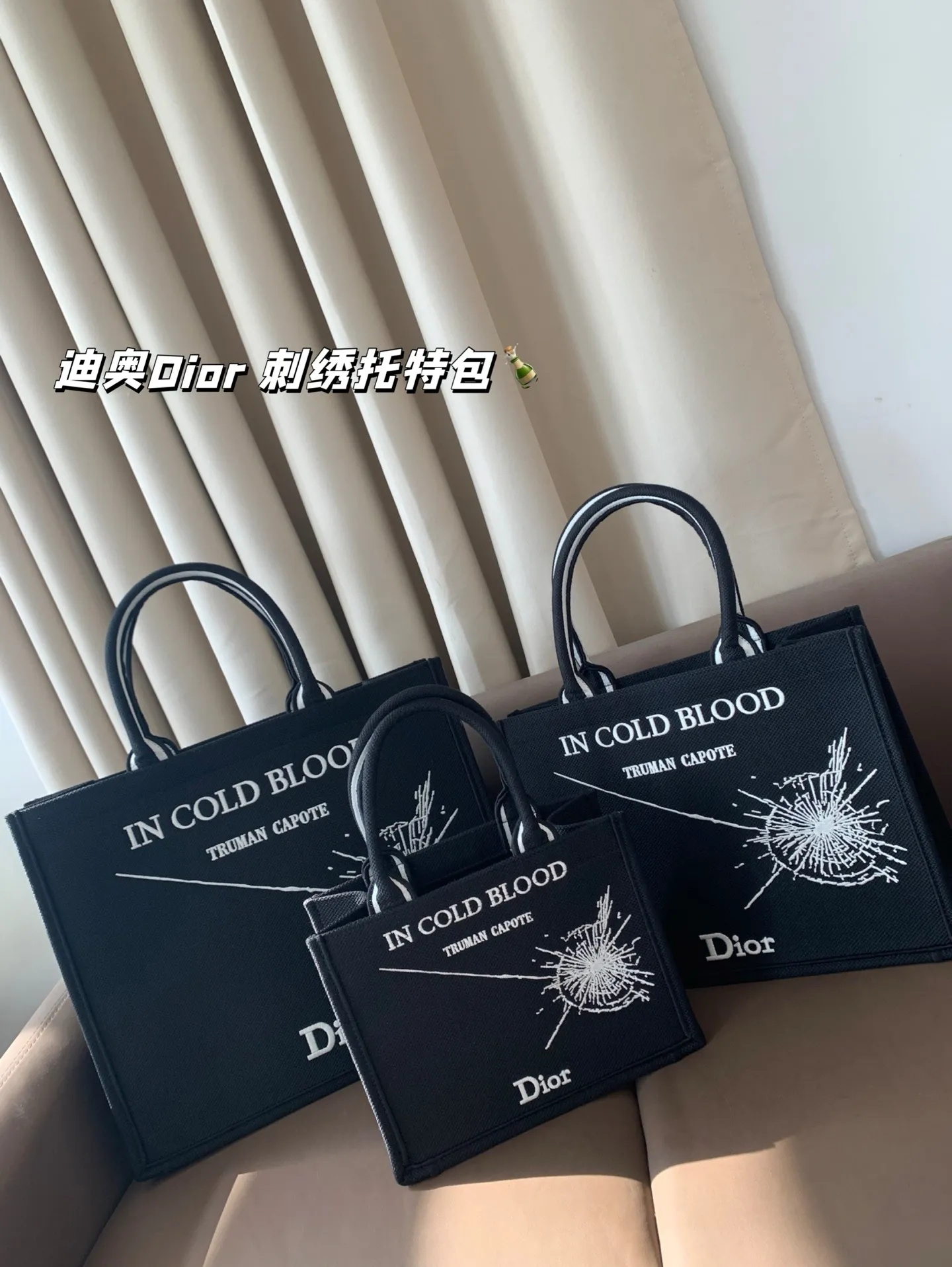 All Categories Official Website "Brand Women's Bags" Women's Bags 💙 DIOR 2025 New DIOR Embroidered Tote Bag