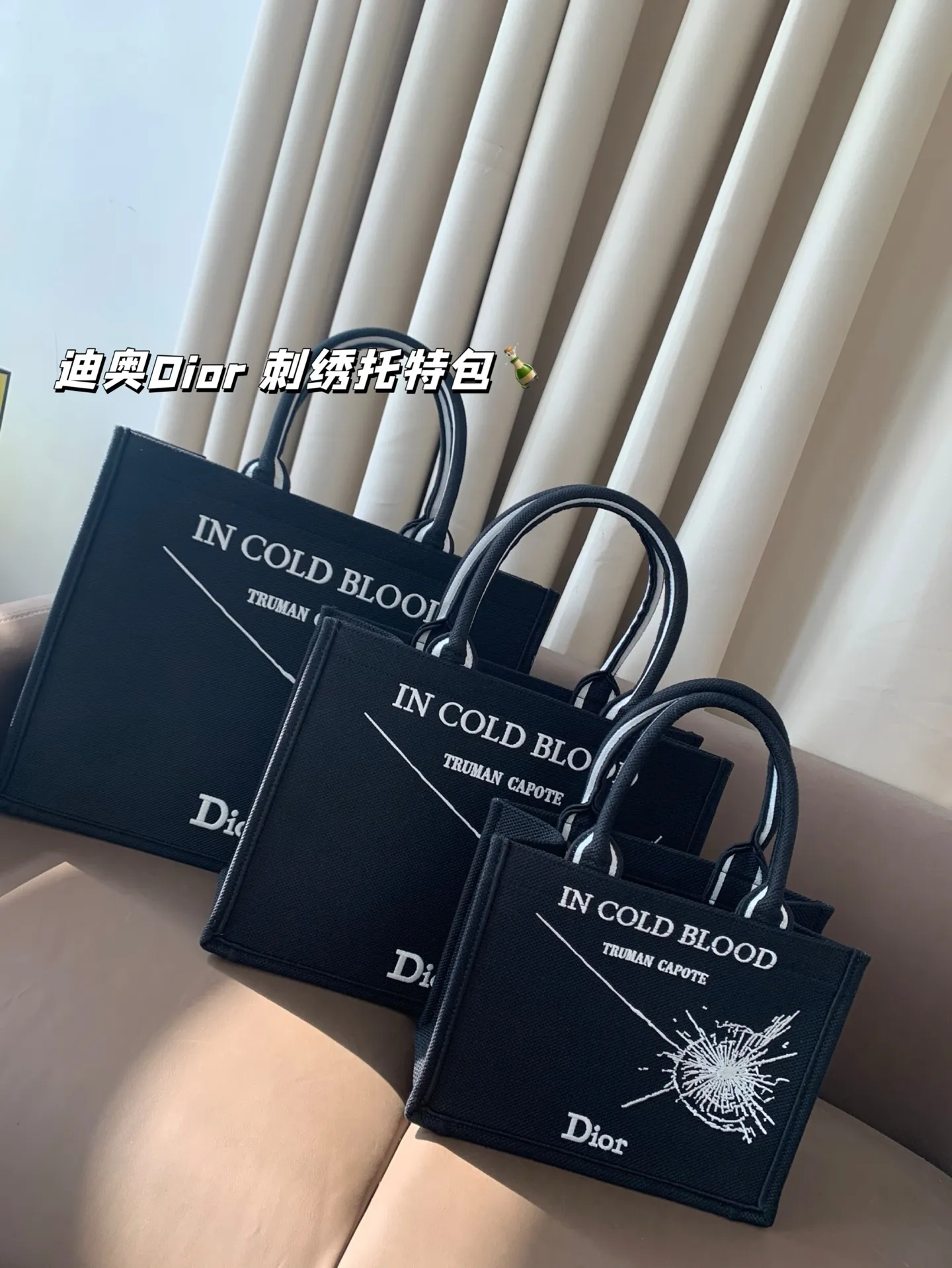 All Categories Official Website "Brand Women's Bags" Women's Bags 💙 DIOR 2025 New DIOR Embroidered Tote Bag