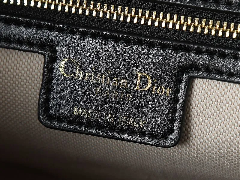 All Categories Official Website "Brand Women's Bags" Women's Bags 💙 DIOR 2026 New DIOR Crossbody Bag