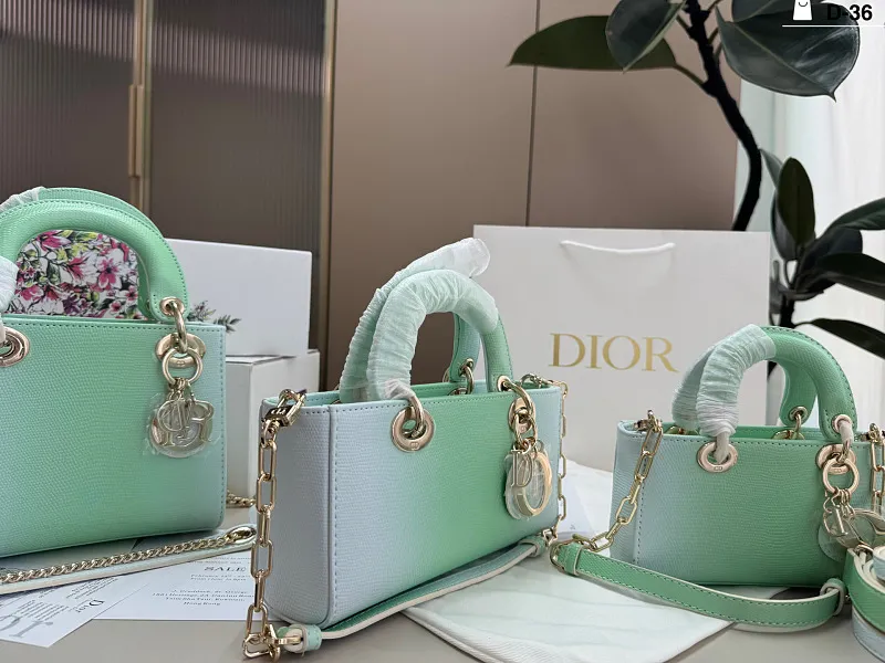 All Categories Official Website "Brand Women's Bags" Women's Bags 💙 DIOR 2026 New DIOR Handbags
