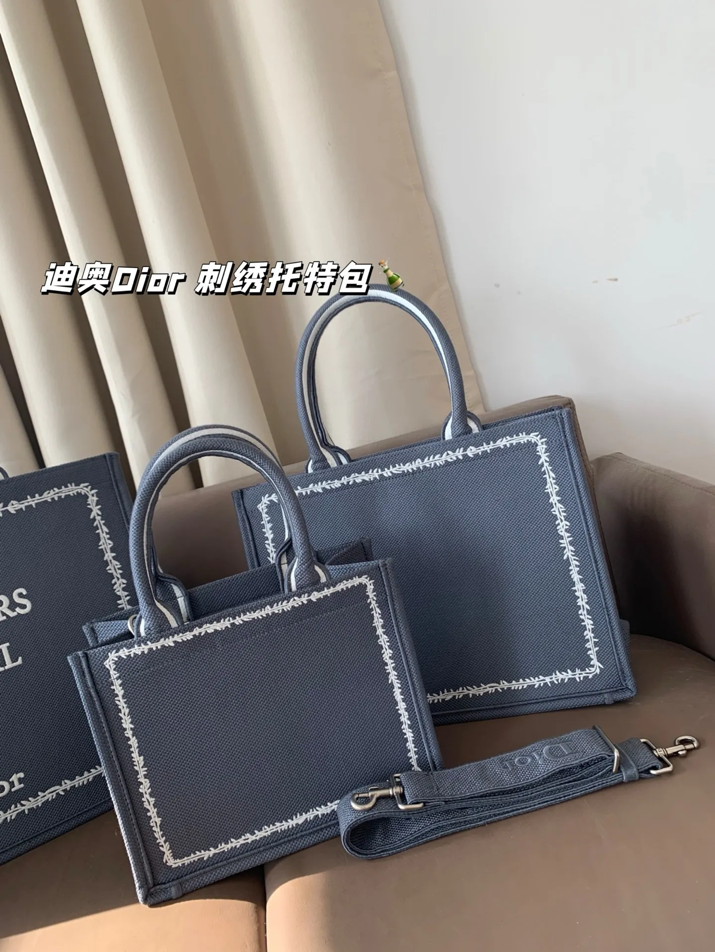 All Categories Official Website "Brand Women's Bags" Women's Bags 💙 DIOR 2025 New DIOR Embroidered Tote Bag