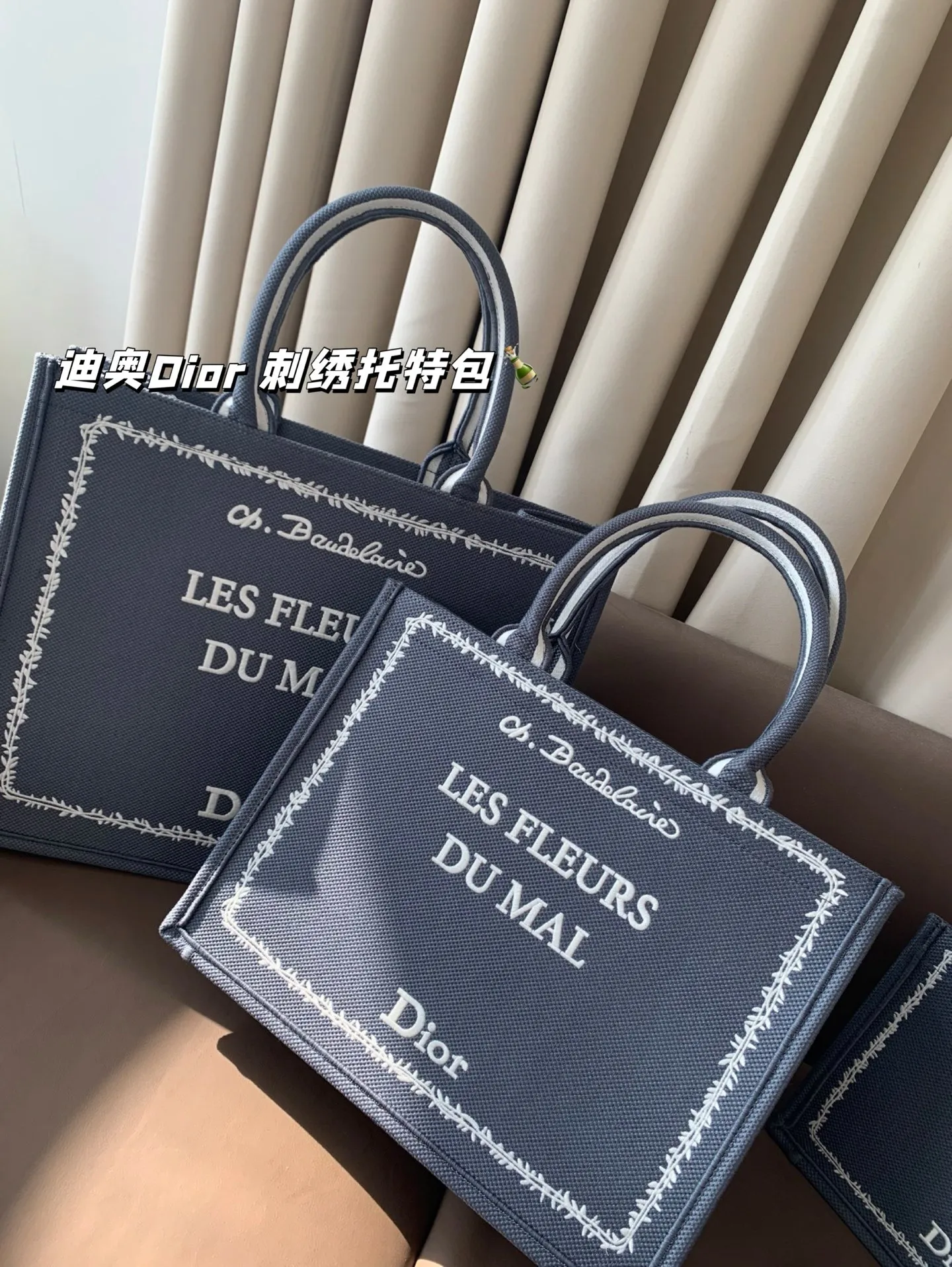 All Categories Official Website "Brand Women's Bags" Women's Bags 💙 DIOR 2025 New DIOR Embroidered Tote Bag