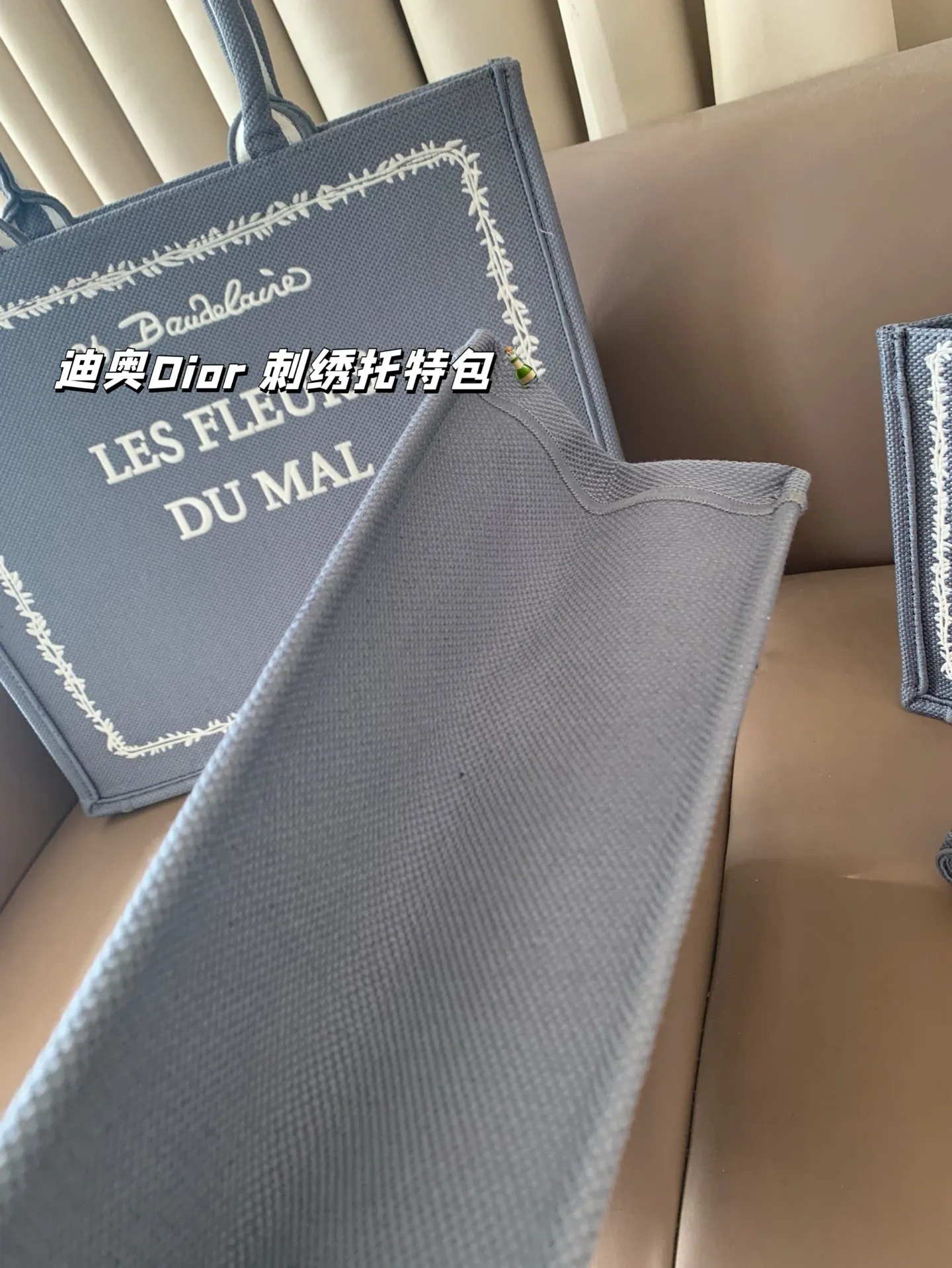 All Categories Official Website "Brand Women's Bags" Women's Bags 💙 DIOR 2025 New DIOR Embroidered Tote Bag