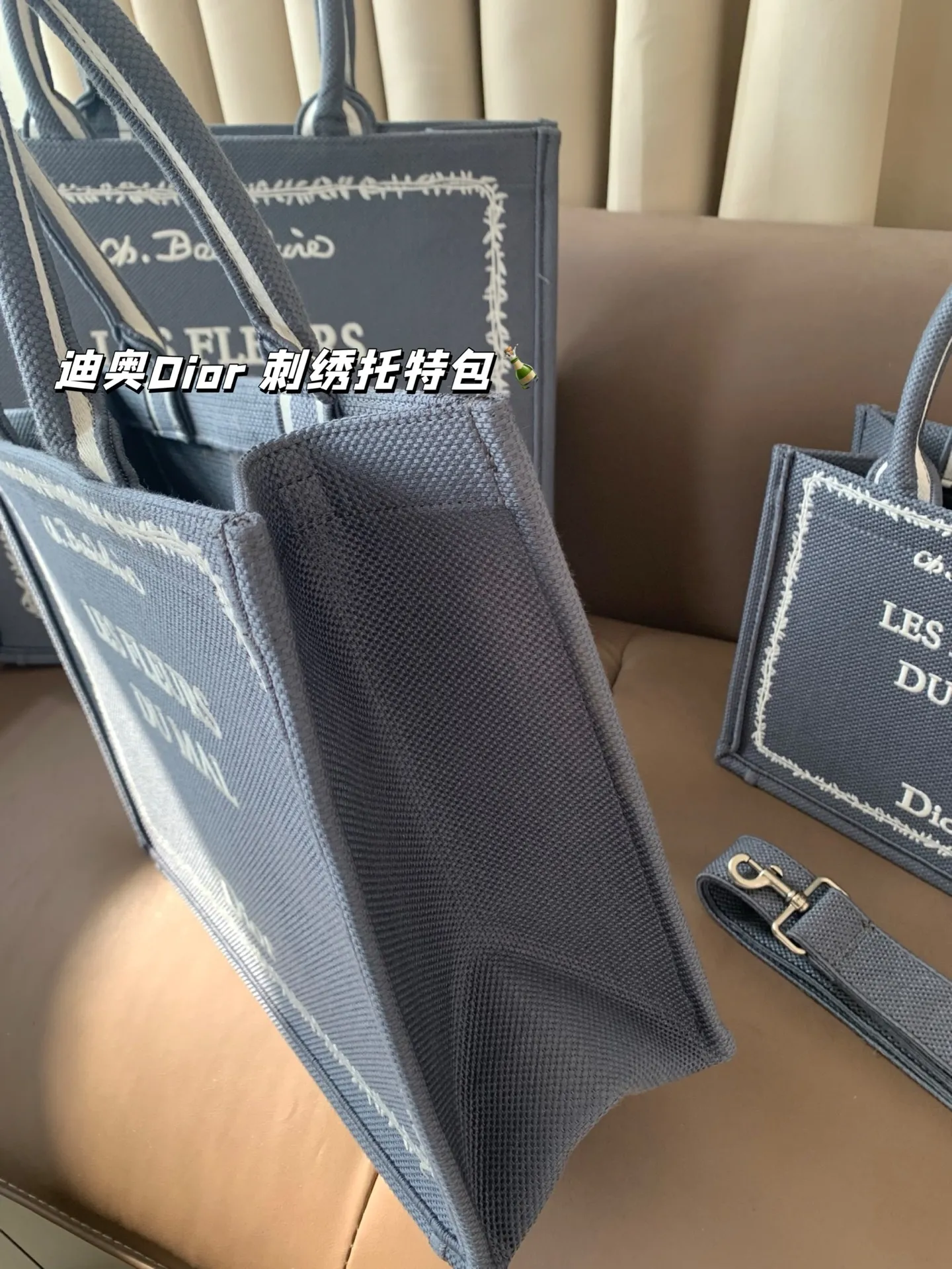 All Categories Official Website "Brand Women's Bags" Women's Bags 💙 DIOR 2025 New DIOR Embroidered Tote Bag