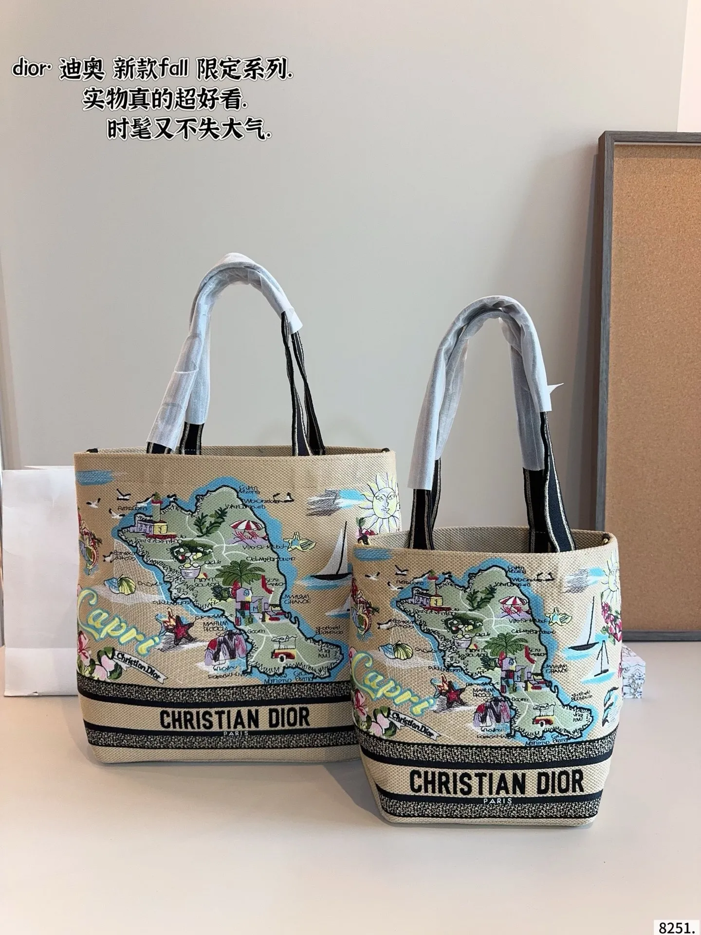 All Categories Official Website "Brand Women's Bags" Women's Bags 💙 DIOR 2025 New DIOR Handbags