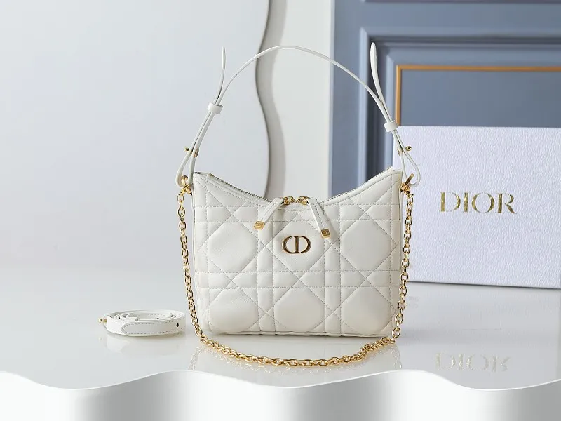 All Categories Official Website "Brand Women's Bags" Women's Bags 💙 DIOR 2026 New DIOR Crossbody Bag