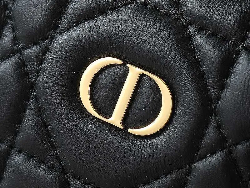 All Categories Official Website "Brand Women's Bags" Women's Bags 💙 DIOR 2026 New DIOR Crossbody Bag