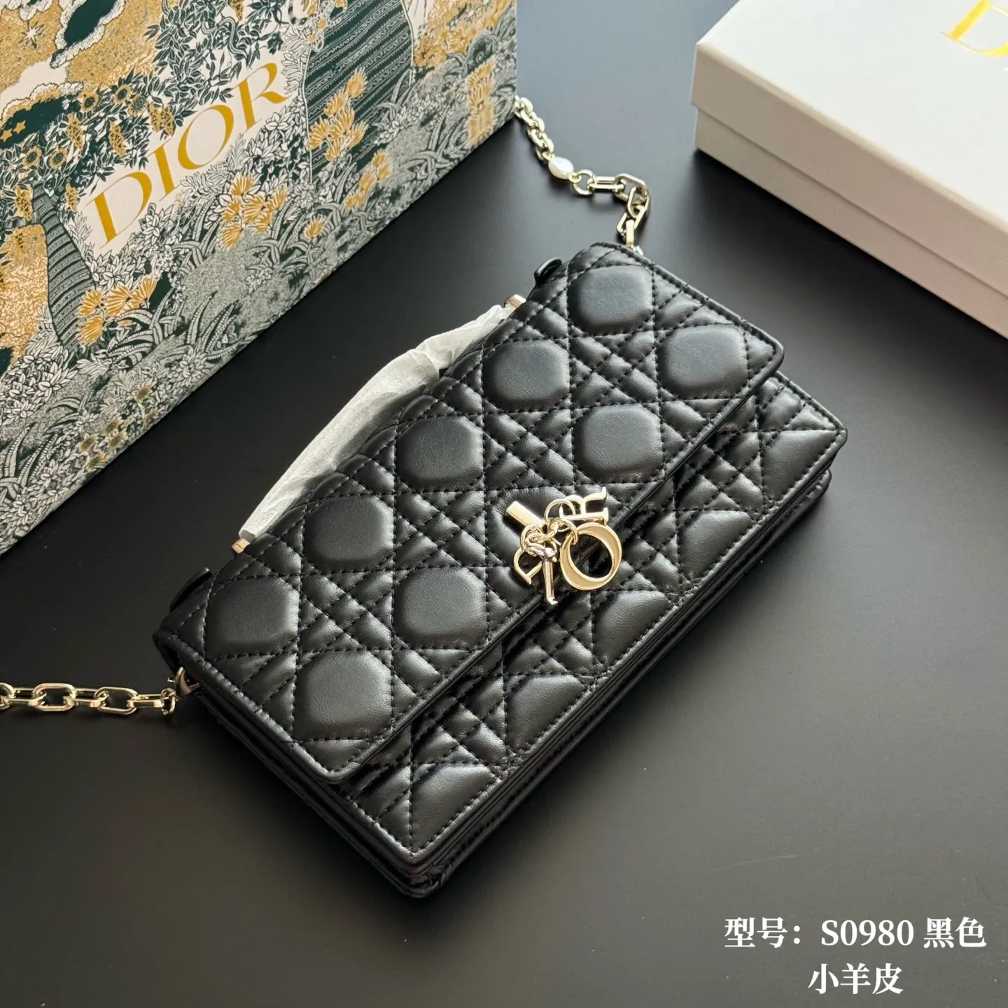 All Categories Official Website "Brand Women's Bags" Women's Bags 💙 DIOR 2026 New DIOR Crossbody Bag