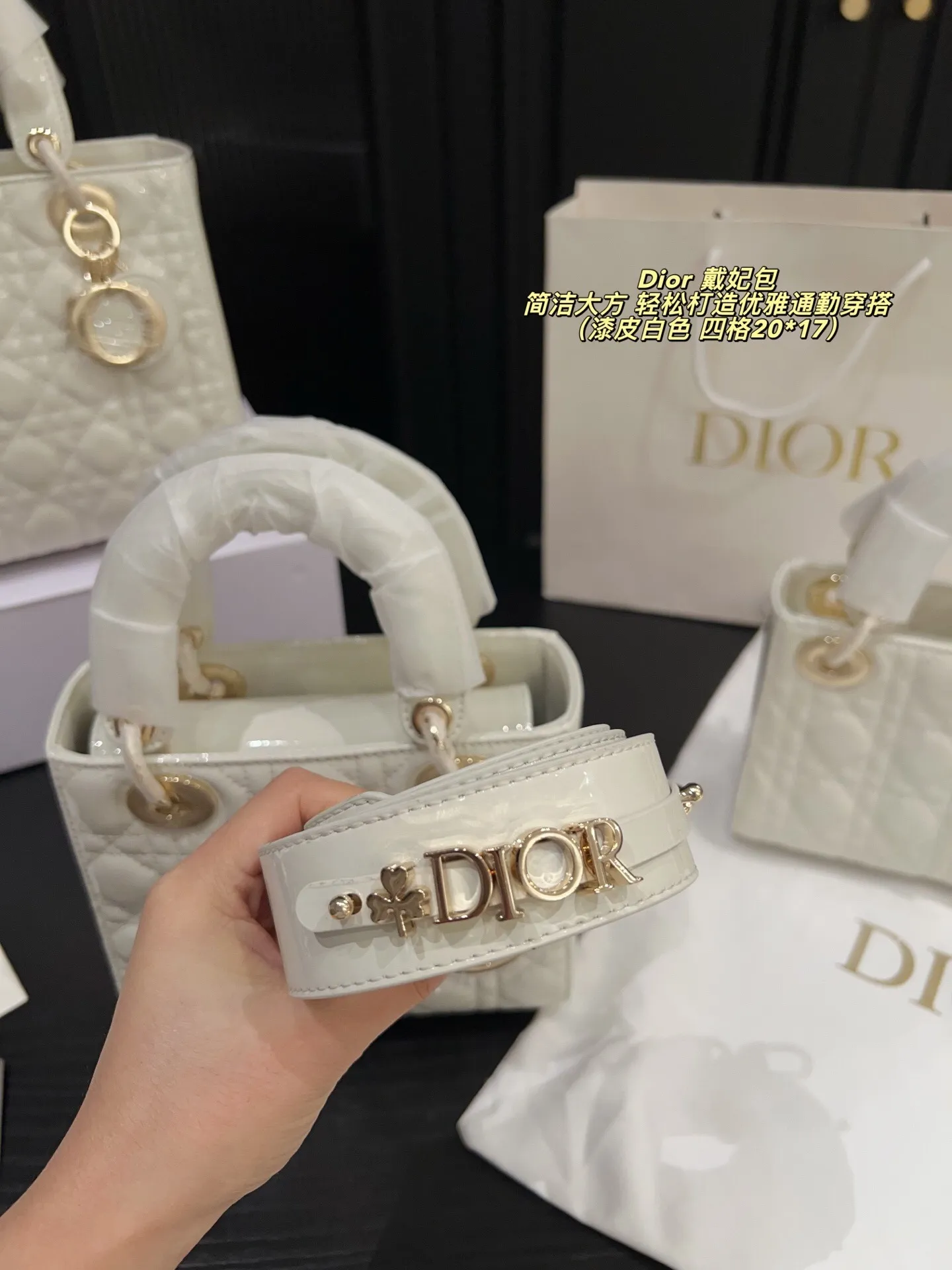 All Categories Official Website "Brand Women's Bags" Women's Bags 💙 DIOR 2025 New DIOR Crossbody Bag