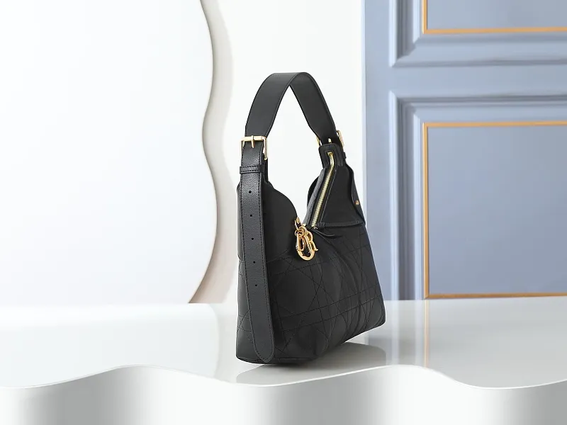 All Categories Official Website "Brand Women's Bags" Women's Bags 💙 DIOR 2026 New DIOR Armpit Crossbody Bag