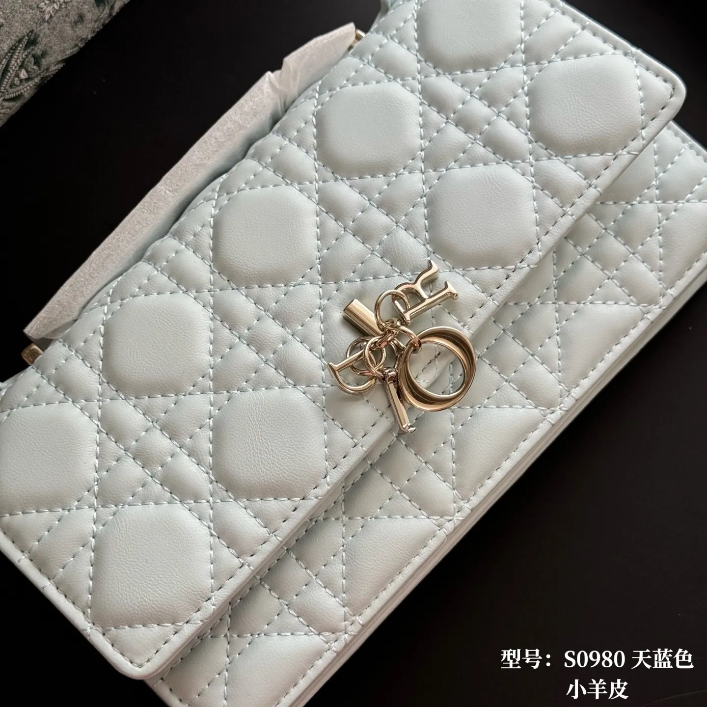 All Categories Official Website "Brand Women's Bags" Women's Bags 💙 DIOR 2026 New DIOR Crossbody Bag