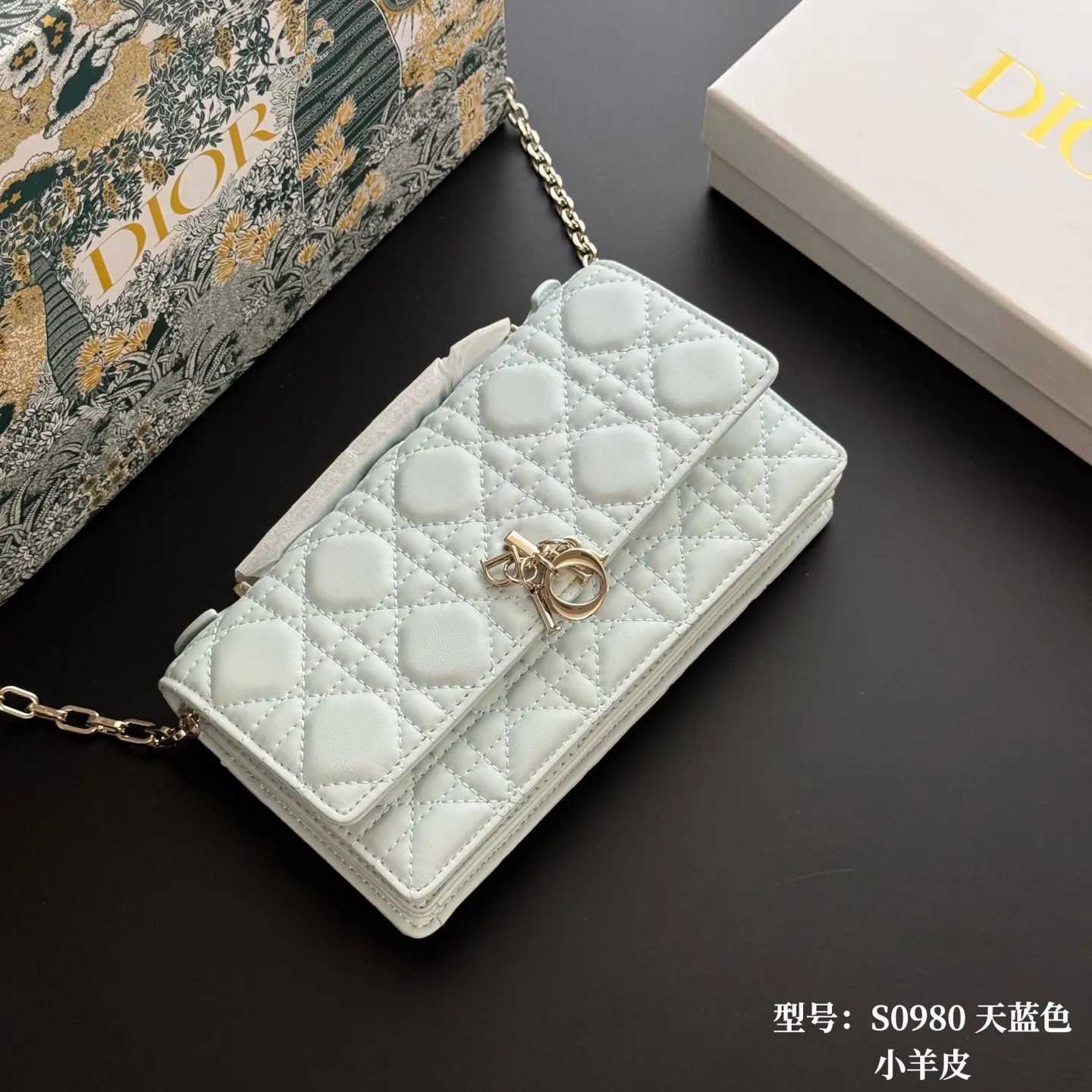 All Categories Official Website "Brand Women's Bags" Women's Bags 💙 DIOR 2026 New DIOR Crossbody Bag