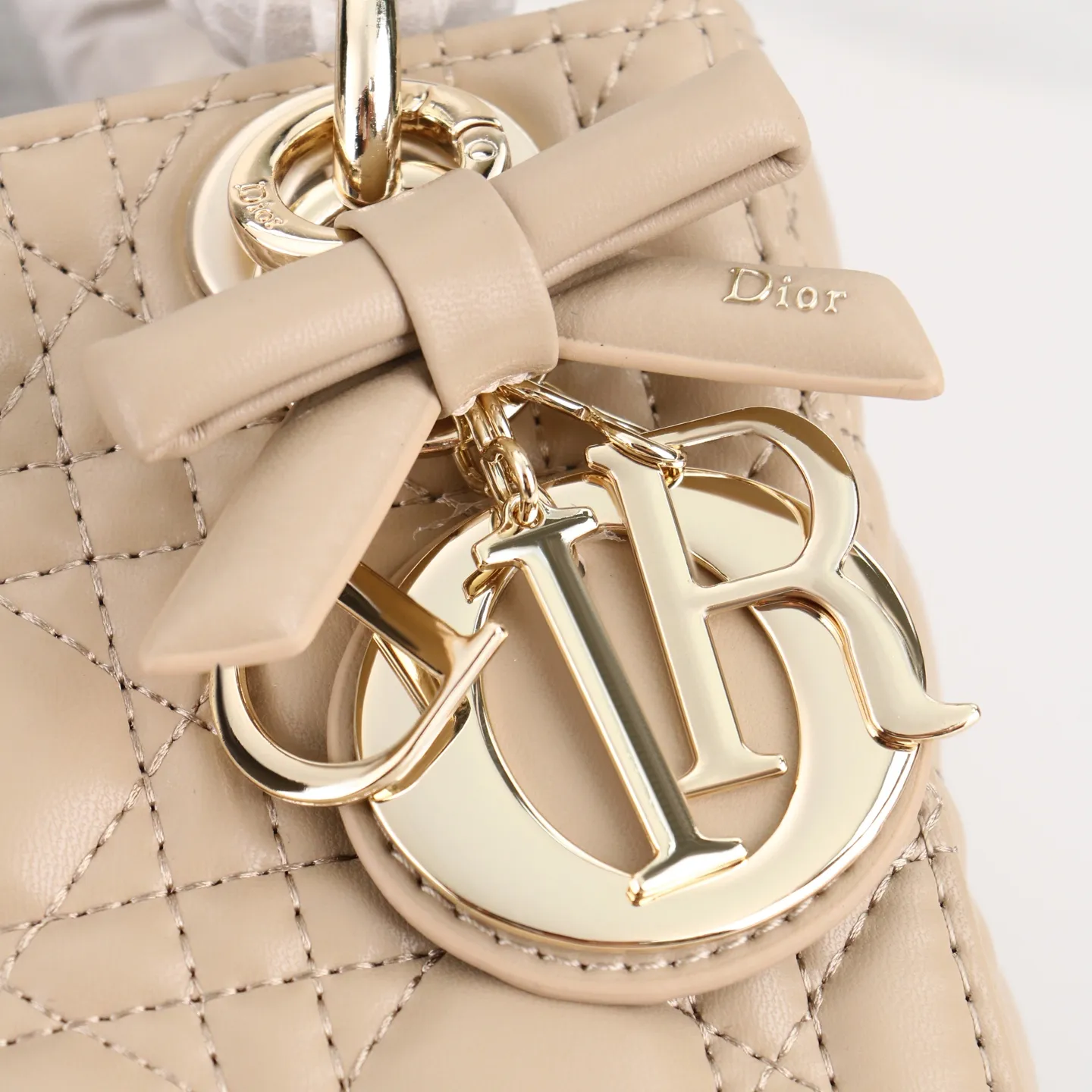 All Categories Official Website "Brand Women's Bags" Women's Bags 💙 DIOR 2026 New DIOR Crossbody Bag