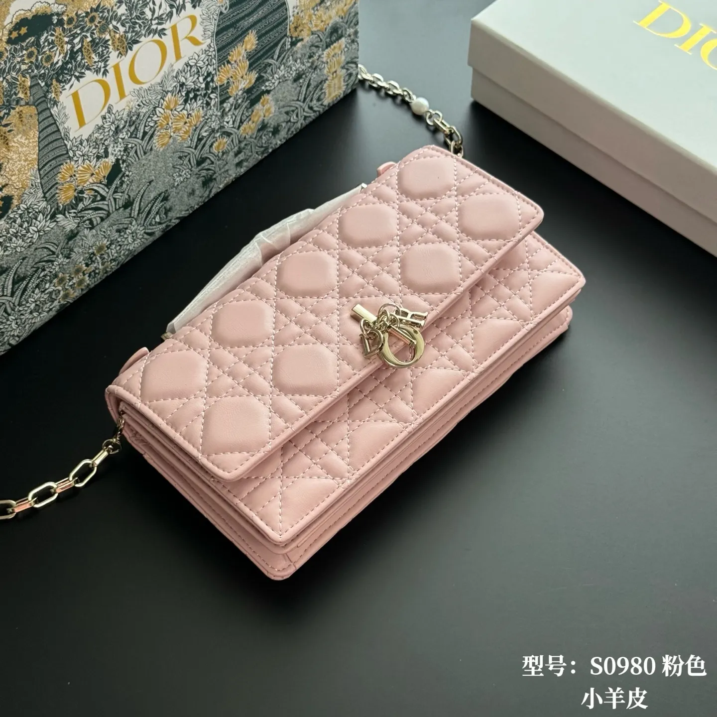 All Categories Official Website "Brand Women's Bags" Women's Bags 💙 DIOR 2026 New DIOR Crossbody Bag