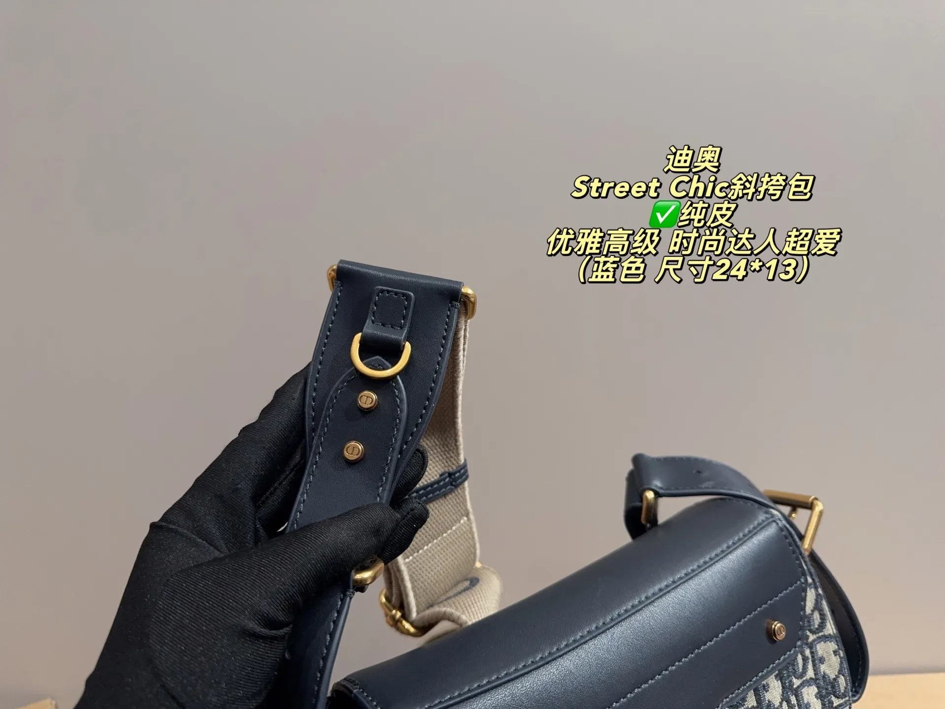 All Categories Official Website "Brand Women's Bags" Women's Bags 💙 DIOR 2025 New DIOR Crossbody Bag