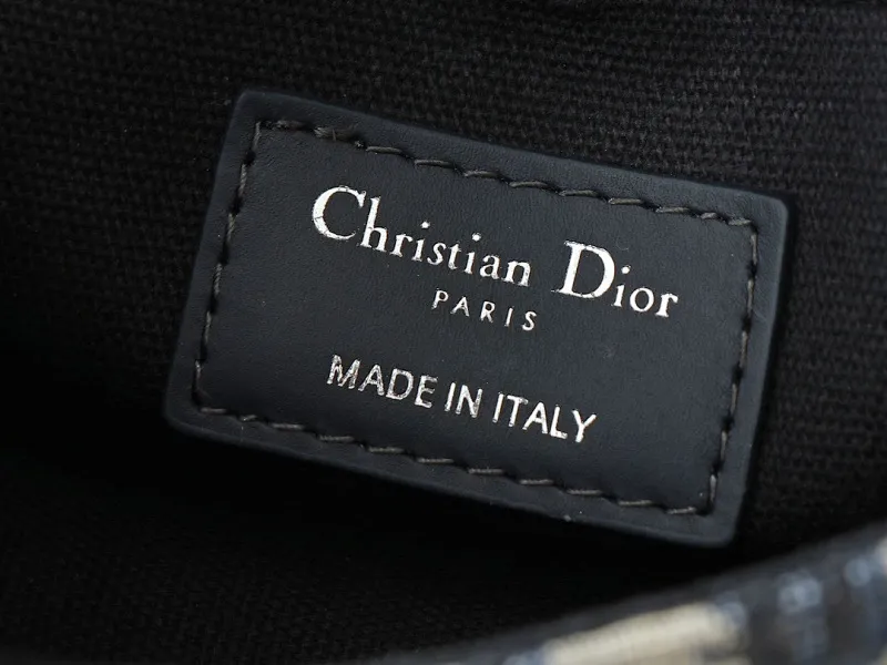 All Categories Official Website "Brand Women's Bags" Women's Bags 💙 DIOR 2025 New DIOR Crossbody Bag