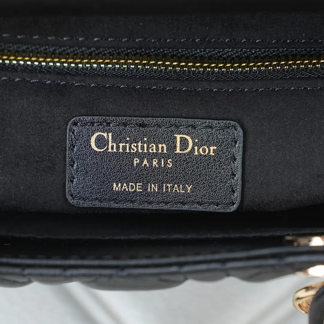 All Categories Official Website "Brand Women's Bags" Women's Bags 💙 DIOR 2026 New DIOR Handbags