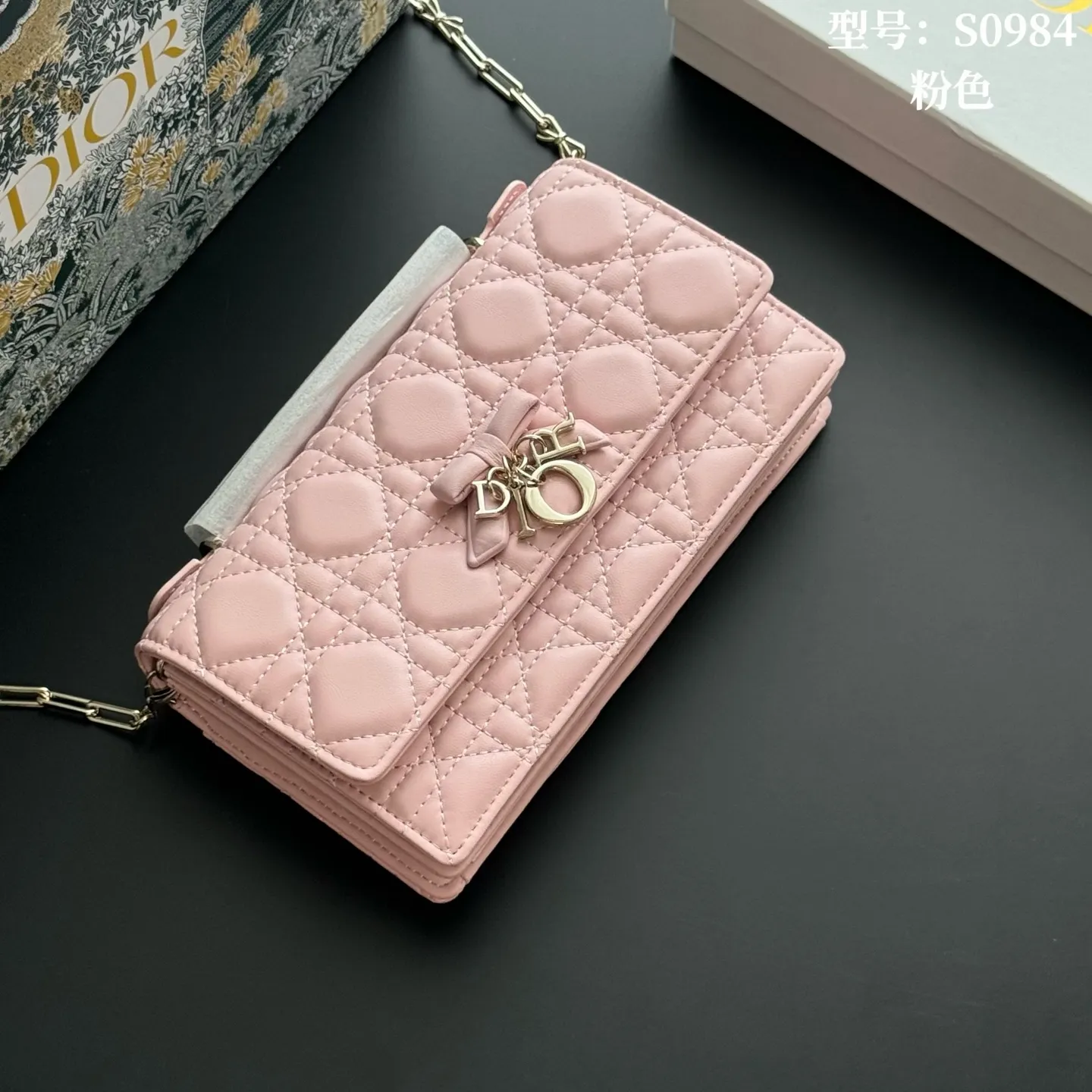 All Categories Official Website "Brand Women's Bags" Women's Bags 💙 DIOR 2026 New DIOR Crossbody Bag