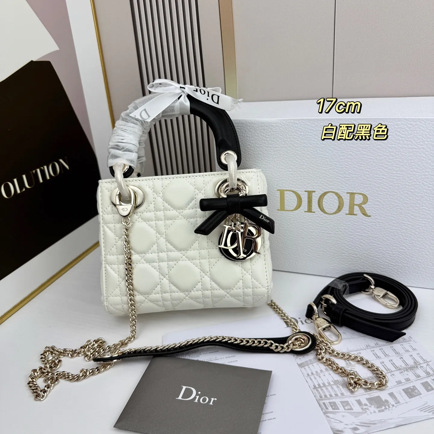 All Categories Official Website "Brand Women's Bags" Women's Bags 💙 DIOR 2026 New DIOR Crossbody Bag