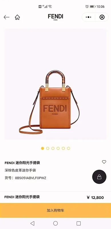 All Categories Fendi Women's Bags (Fendi) Fendi Original Order 8376