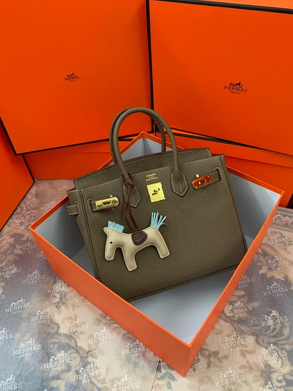 All categories Hermès women's bags (Hermès) Hermès 3234