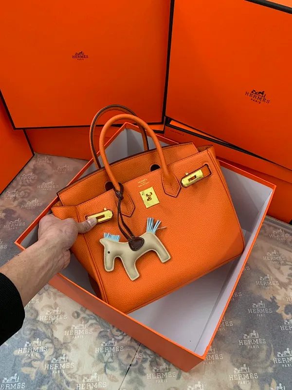 All categories Hermès women's bags (Hermès) Hermès 3234