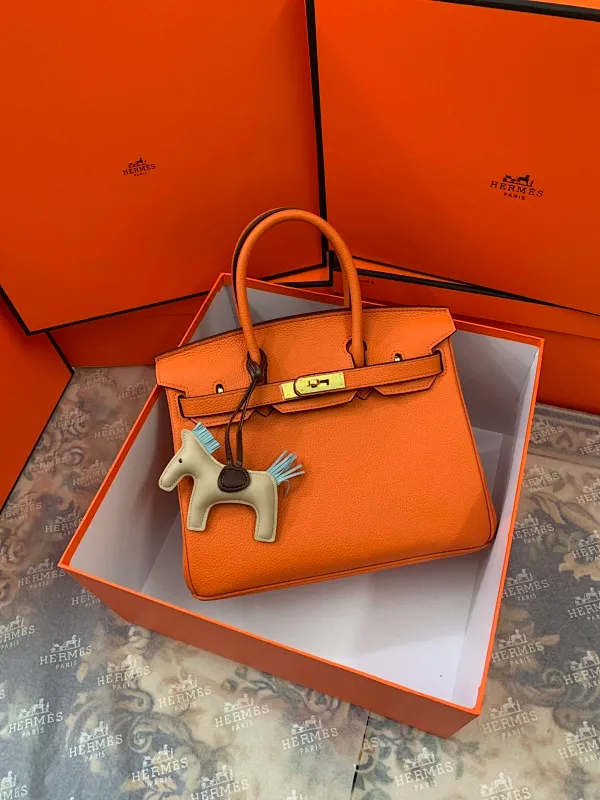 All categories Hermès women's bags (Hermès) Hermès 3234