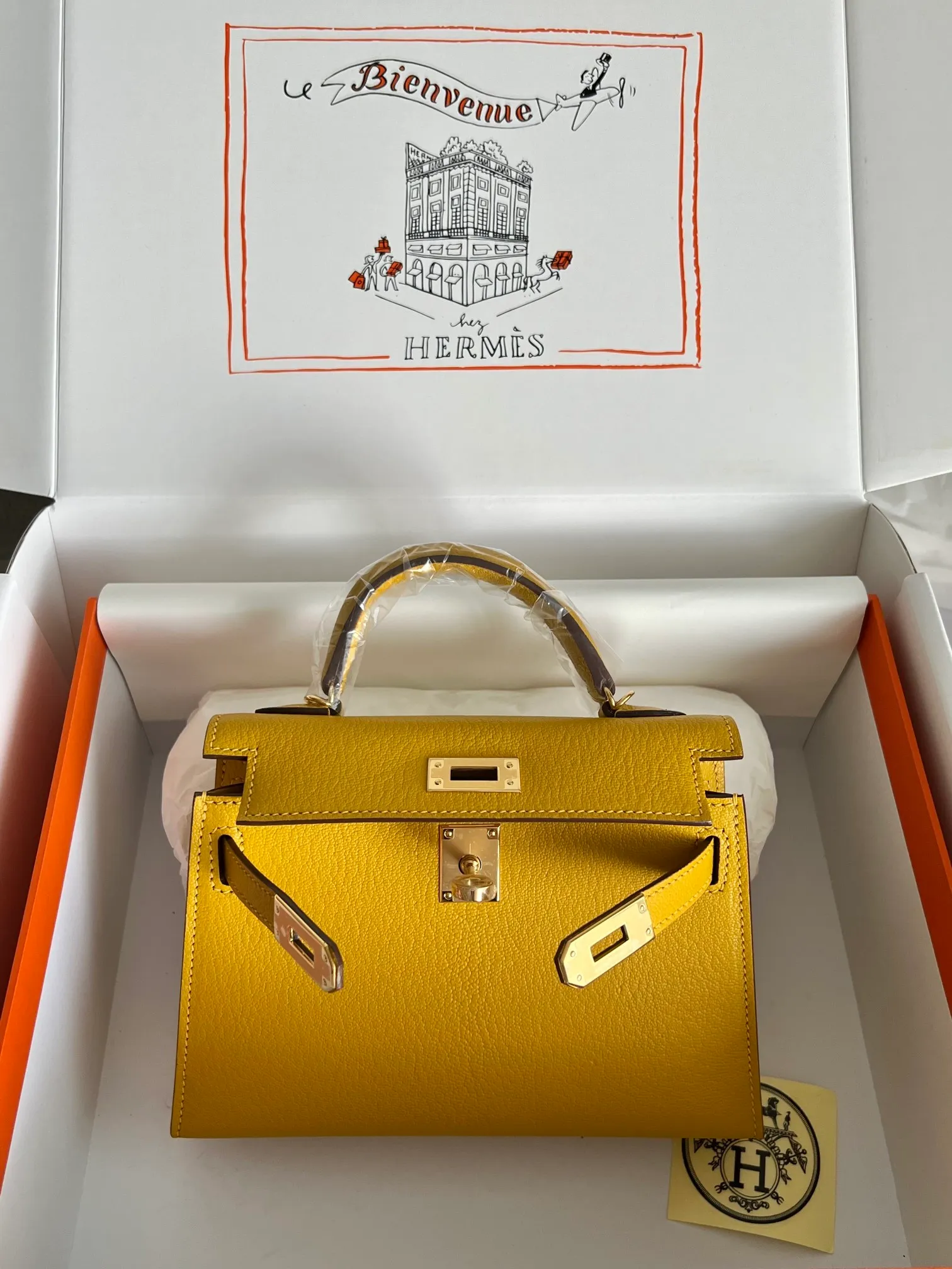 All categories Hermès women's bags (Hermès) Hermès 1515