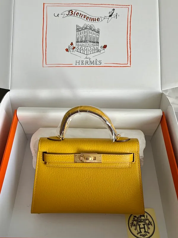 All categories Hermès women's bags (Hermès) Hermès 1515