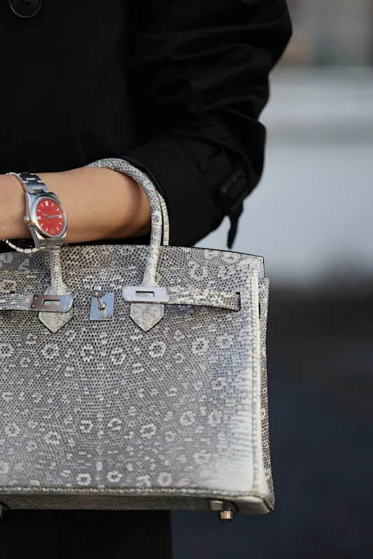 All Categories Hermès Women's Bags (Hermès) Hermès Lizard 25