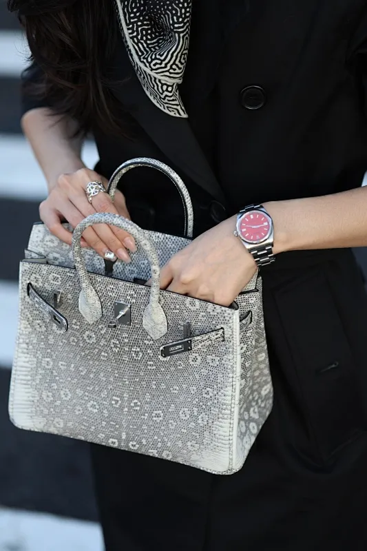 All Categories Hermès Women's Bags (Hermès) Hermès Lizard 25