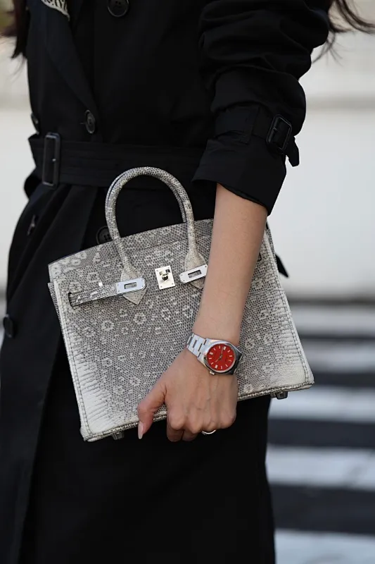 All Categories Hermès Women's Bags (Hermès) Hermès Lizard 25