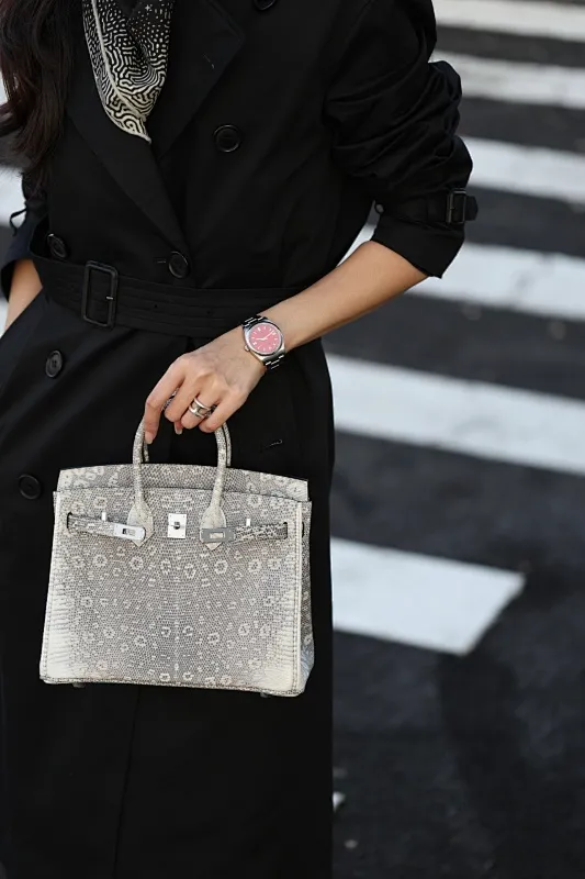 All Categories Hermès Women's Bags (Hermès) Hermès Lizard 25