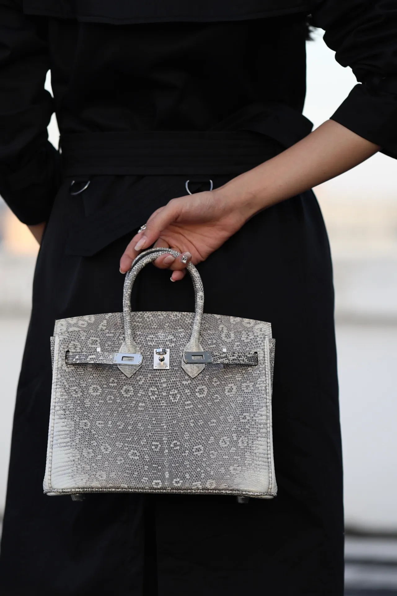 All Categories Hermès Women's Bags (Hermès) Hermès Lizard 25