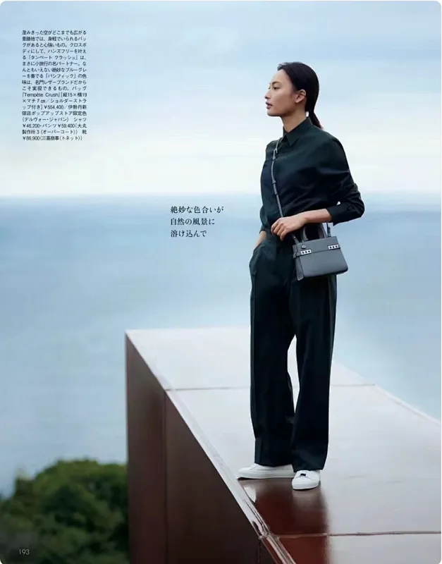 All categories Hermès women's bags (Hermès) Hermès 197